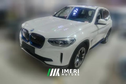 2021 BMW iX3 2021 Leading