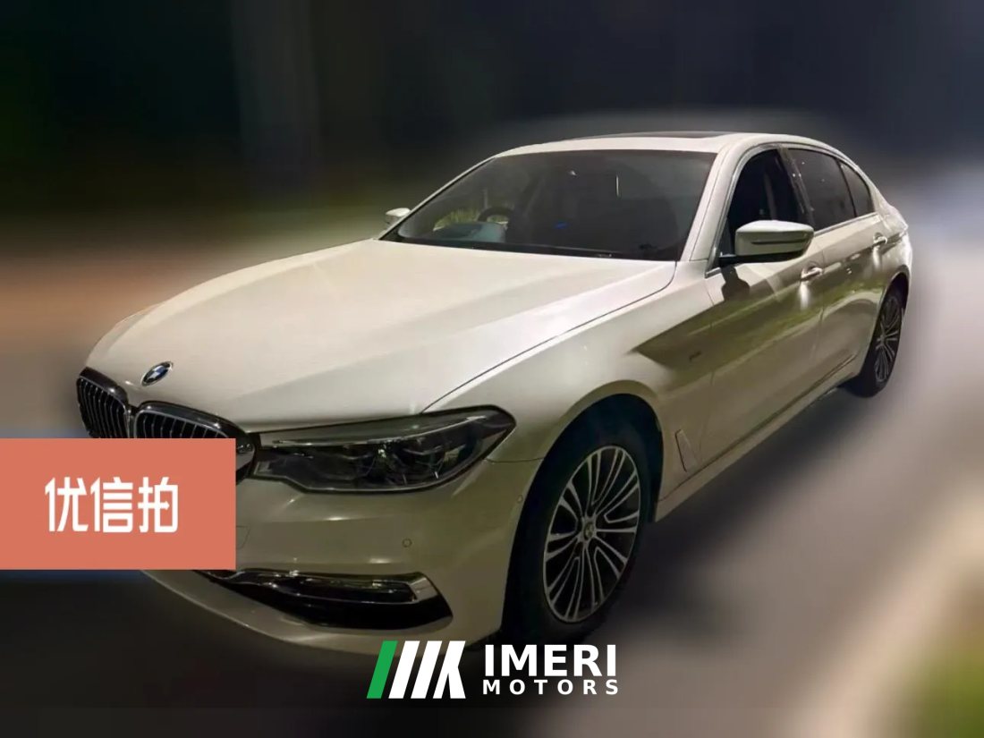 2018 BMW 5 Series 2018 2.0T AT 530LiExclusiveLuxury Pkg Facelift