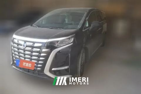 2024 Denza D9 2024 1.5T AT DM-i 1050 Exclusive