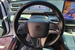 2024 BYD Qin L 2024 1.5L AT DM-i 120KMSurpass #15