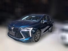 2022 Dongfeng Fengxing Fengxing Youting 2022 1.5T AT DCTChase the wavesEdition #1