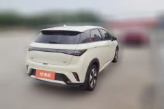 2026 BYD Dolphin 2025 Smart Drive 420km freeEdition #3