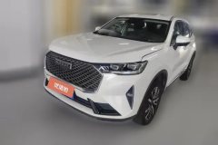 2020 Haval H6 2021 1.5T AT No.3generation2WDMax #1