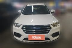 2019 Haval H2 2018 1.5T AT Create and enjoyEditionBlue LabelFashion #2