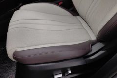 2024 BYD Song Plus PHEV 2025 1.5L AT DM-i 112KM Honor #21