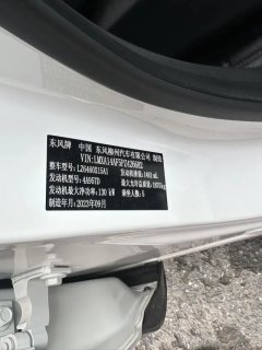 2023 Dongfeng Fengxing Fengxing T5 Evo 2024 1.5TD AT DCTStarry #7