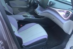 2021 BYD Dolphin 2021 401km knightEdition #8