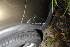 Rear Bumper