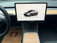 2022 Tesla Model 3 2022 rear wheel driveEdition #16