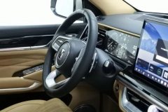 2023 Tank 500 PHEV 2023 2.0T AT Hi4-T #23