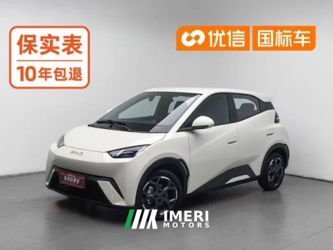 2024 BYD Seagull 2025 305km freeEdition