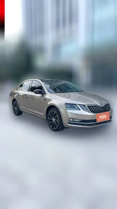 2017 Škoda Octavia 2018 1.4T AT TSI280Luxury #2