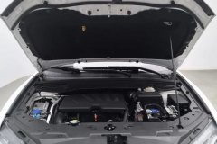 2019 Haval H6 Coupe 2018 1.5T AT Blue LabelLuxury FWD #7