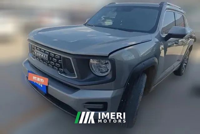 2024 Haval Big Dog Plus 2023 2.0T AT 4WDShionoPlus