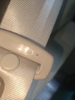 Left Rear Seatbelt