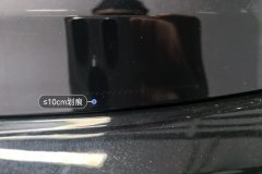 Trunk Lid