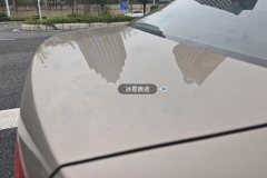 Trunk Lid