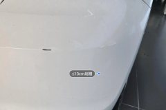Rear Bumper