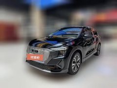 2024 Audi Q5 e-tron 2023 40 e-tron star shine brocade suit #1