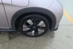 2024 BYD Dolphin 2025 520km knightEdition #6