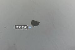 Trunk Lid