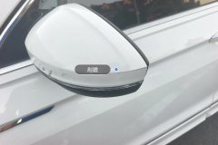 Left Exterior Mirror