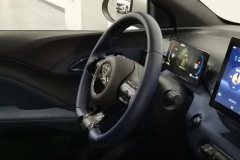 2024 BYD Seagull 2025 305km freeEdition #23