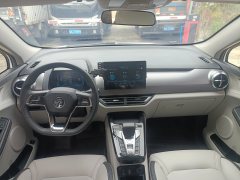 2021 BYD Yuan Pro 2021 want to love1bornEdition #6