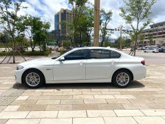 2015 BMW 5 Series 2014 2.0T AT 525LiLeading #6
