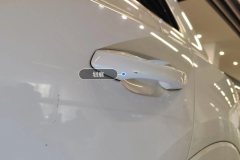 Left Rear Door Handle