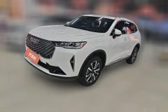 2023 Haval H6 2022 No.3generation 1.5T AT 2WDMax #1
