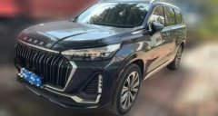 2023 Exeed Lanyue 2023 2.0T AT 400T 4WDStar Premium 6Seat #1
