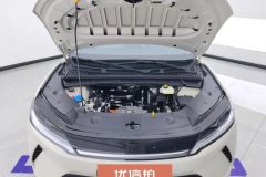 2025 BYD Yuan UP 2025 301KM Pilot #10