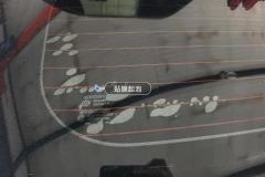 Rear Windshield