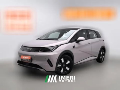 2026 BYD Dolphin 2025 Smart Drive 410km Fashion