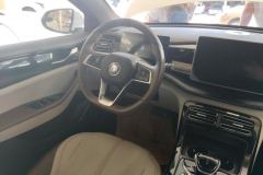 2025 BYD Qin Plus 2024 Glory 1.5L AT DM-i 55KMLeading #14