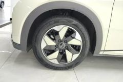 2025 BYD Dolphin 2025 Smart Drive 420km freeEdition #6