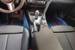 2017 BMW 3 Series 2018 2.0T AT 320Li MSportYaoyeEdition #16