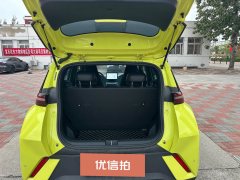 2024 BYD Seagull 2024 Glory 305km vitalityEdition #12