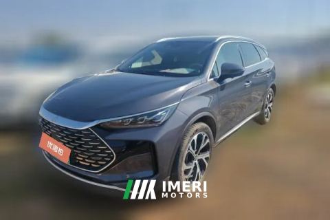 2024 BYD Tang PHEV 2025 Smart Drive DM-i 115KM Honor