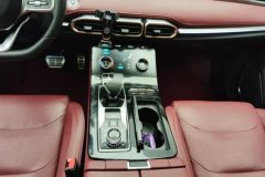 2022 Jetour X70 Plus 2021 1.6T AT DCTlandPRO 5Seat #16