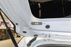 Trunk Lid
