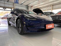 2020 Tesla Model 3 2020 Facelift StandardBattery lifeRWDUpgradeEdition EV #2