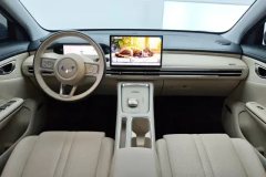 2025 Wuling Motors Wuling Bingo S 2025 430km Flagship #12