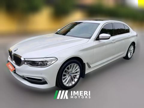 2020 BMW 5 Series 2020 2.0T AT 530LiExclusiveLuxury Pkg