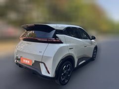 2024 BYD Seagull 2024 Glory 305KM freeEdition #8