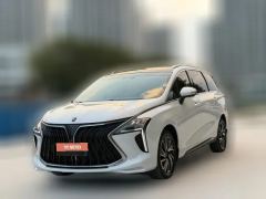 2022 Dongfeng Fengxing Fengxing Youting 2022 1.5T AT DCTChase the wavesEdition #1