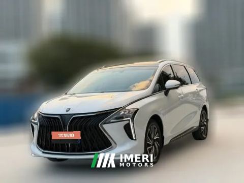 2022 Dongfeng Fengxing Fengxing Youting 2022 1.5T AT DCTChase the wavesEdition