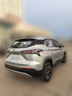 2019 Baojun 510 2019 1.5 AT Exclusive China VI #4