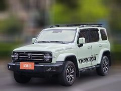 2022 Tank 300 2021 CityEdition 2.0T AT Very #1